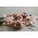 Pork barbeque pack -small from Primrose Herd butchery and online shop