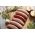 Chorizo sausages from Primrose Herd butchery and online shop