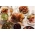 Christmas pork family hamper GF from Primrose Herd butchery and online shop