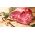 Boston butt from Primrose Herd online shop and butchery