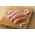 Pork and garlic sausages from Primrose Herd butchery and online shop