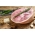 Smoked bone in gammon from The Primrose Herd online shop and Farm butchery