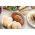 Pork and apple burgers from Primrose Herd butchery and online shop