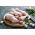 Free range Creedy Carver chicken drumsticks from Primrose Herd butchery and online shop