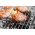 Pork and apple burgers from Primrose Herd butchery and online shop