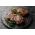 Rib eye steaks from Primrose Herd butchery and online shop