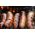 Traditional pork sausages from Primrose Herd butchery and online shop