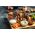 Essentials meat box from Primrose Herd butchery and online shop