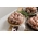 Christmas trimmings pack, gluten free from Primrose Herd butchery and online shop