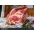 Rib of beef from Primrose Herd butchery and online shop
