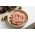 Pork sausage meat from Primrose Herd butchery and online shop