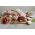 Sausage selection box from The Primrose Herd online shop and Farm Butchery