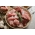 Pork tenderloin medallions from Primrose Herd butchery and online shop