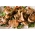 Pork tenderloin medallions from Primrose Herd butchery and online shop