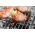 Pork and apple burgers from Primrose Herd butchery and online shop