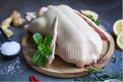 Creedy Carver duck from Primrose Herd butchery and online shop